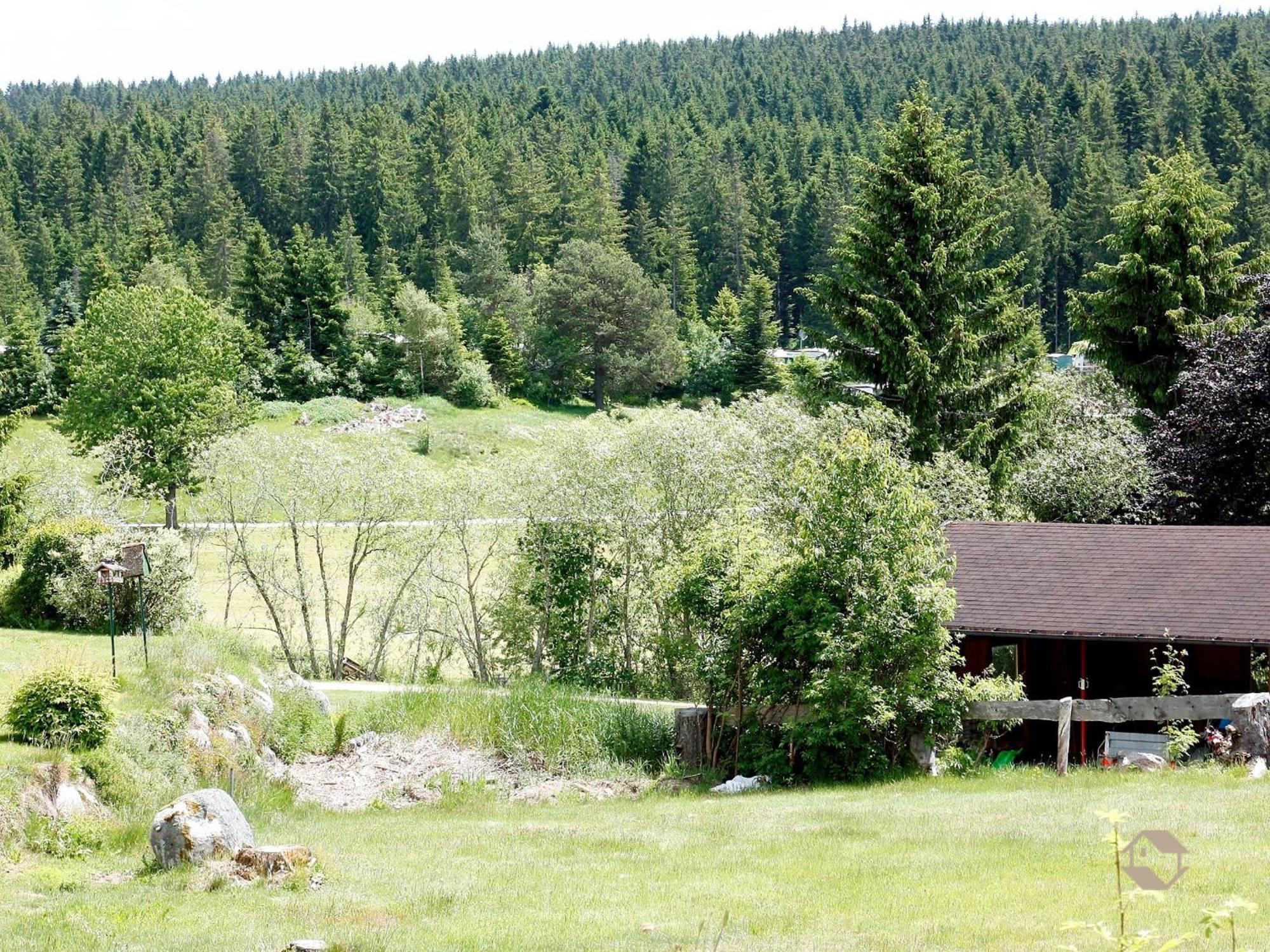 Haus Doerflinger Frau Marianne Appartement Schluchsee Buitenkant foto
